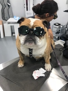 Jeter getting his laser treatment